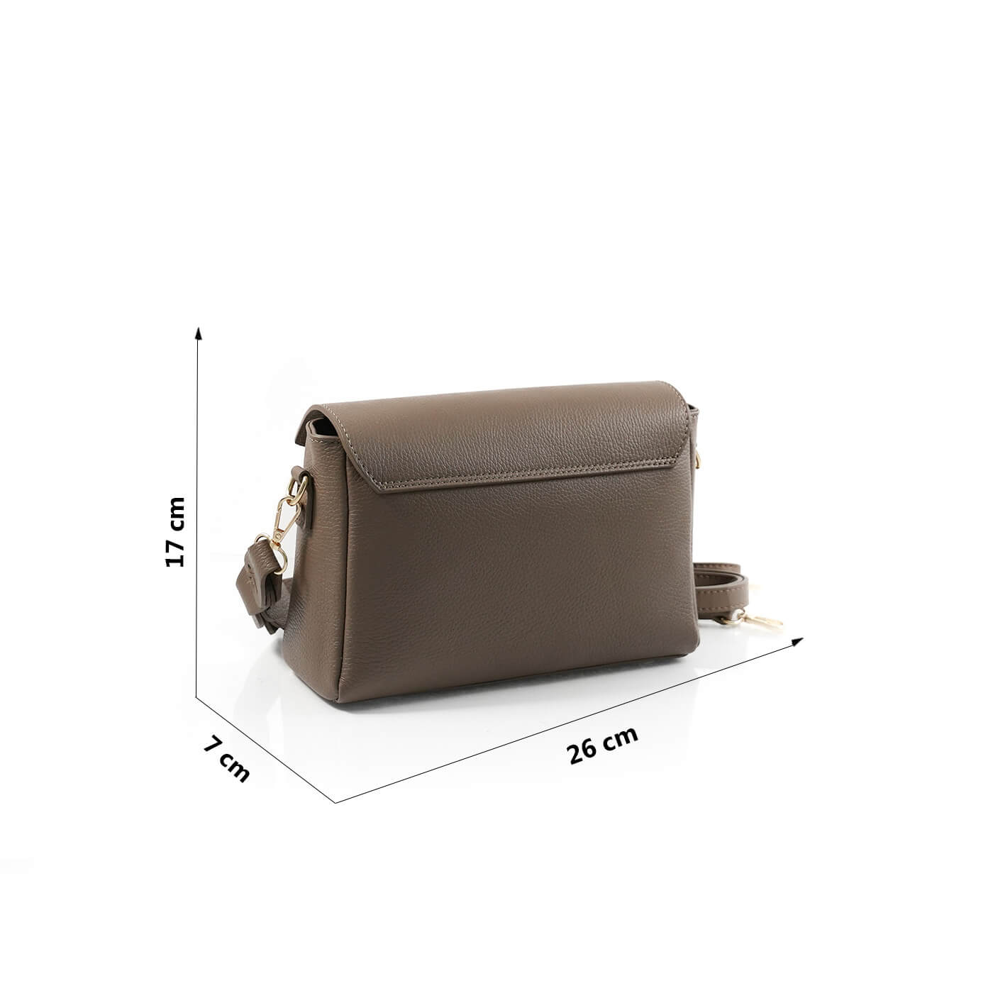 Geanta dama Capricia 