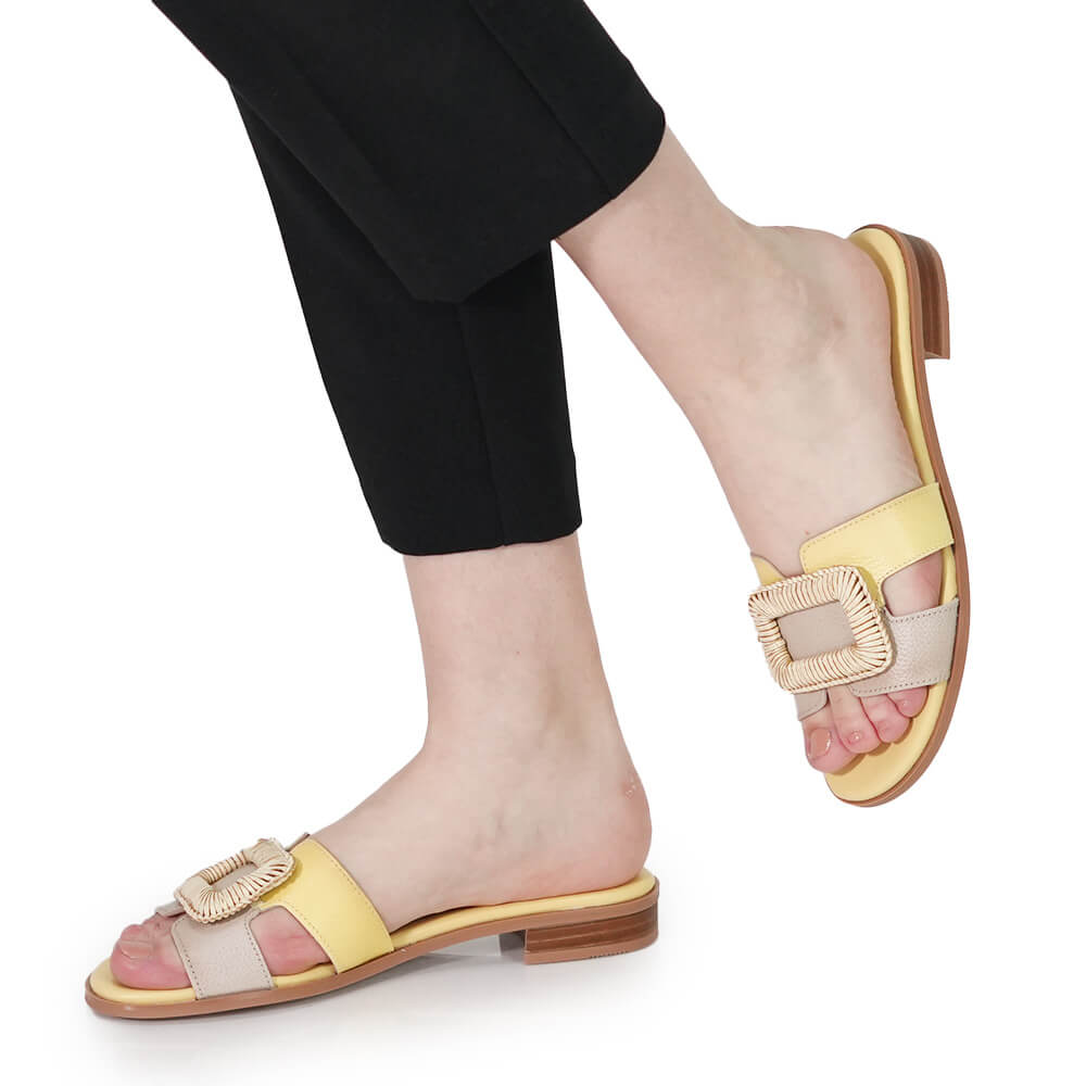 SABOTI DAMA HISPANITAS